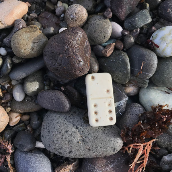 Beachcombing Volume 15: November/December 2019