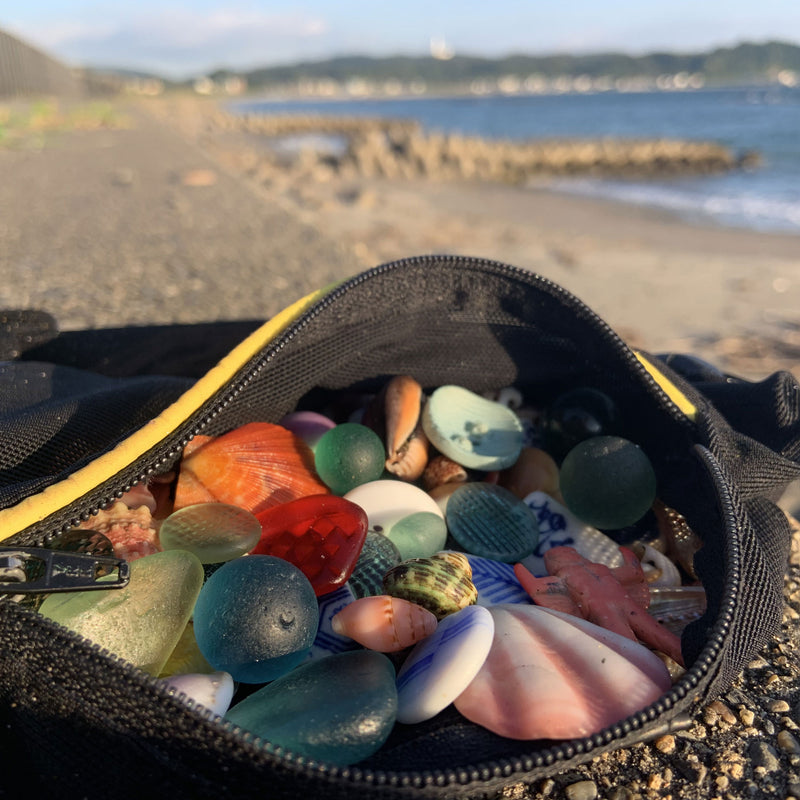 Beachcombing Volume 31: July/August 2022