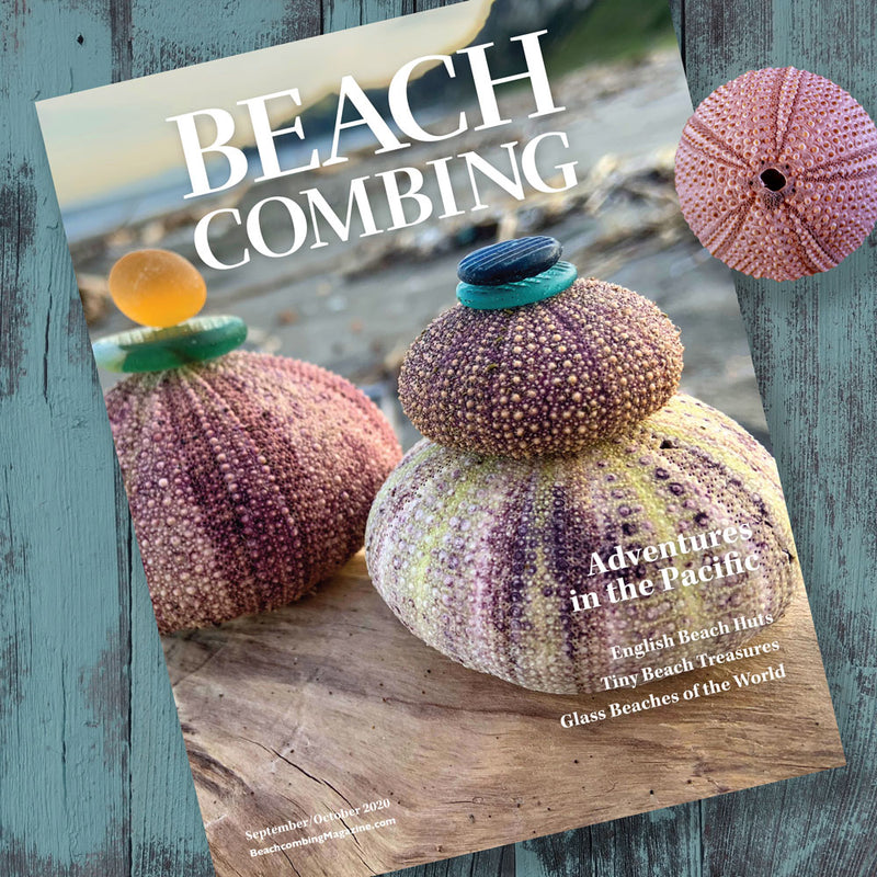 Beachcombing Volume 20: September/October 2020
