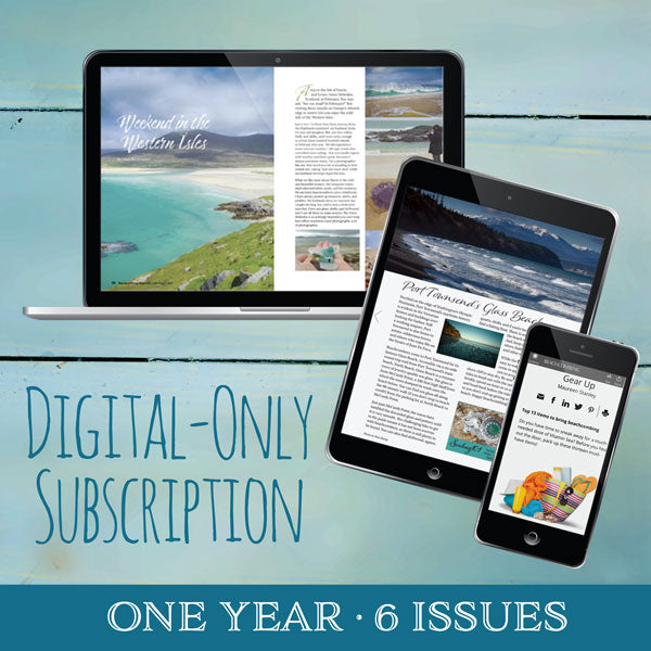 Beachcombing Digital-Only Subscription
