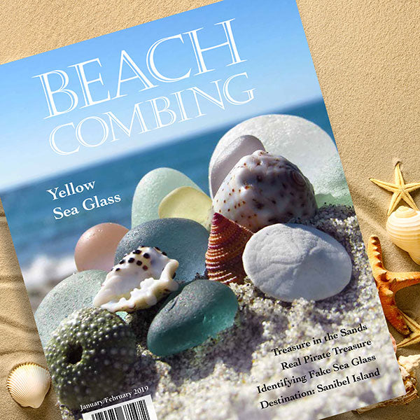 Beachcombing Volume 10: January/February 2019