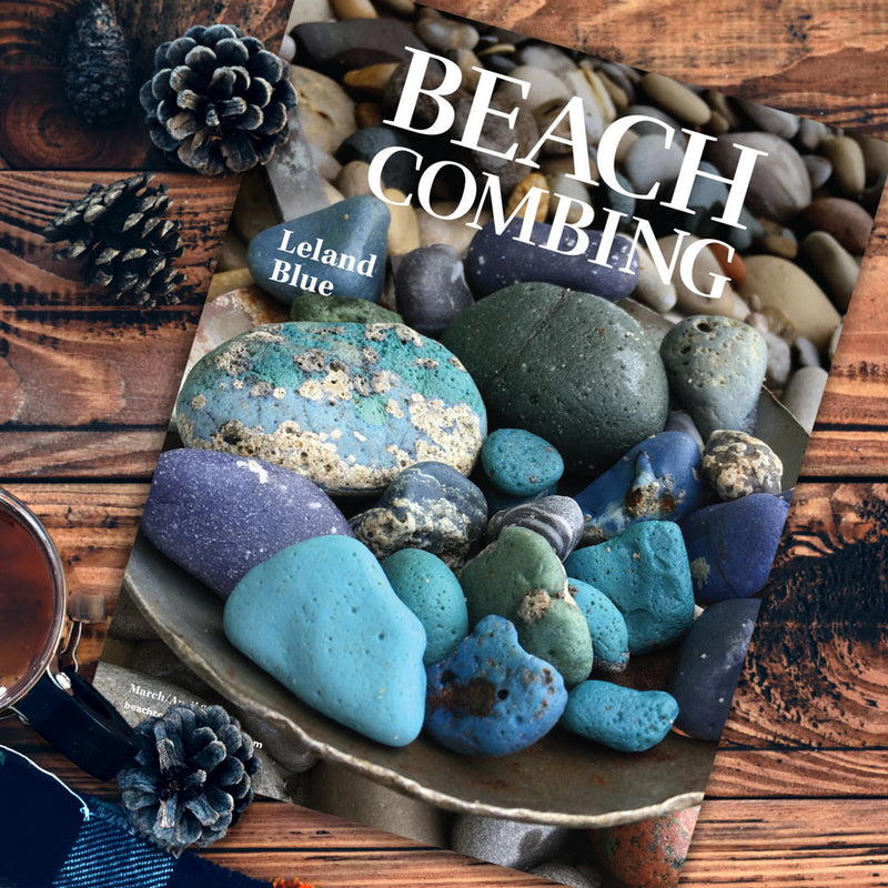 Beachcombing Volume 17: March/April 2020