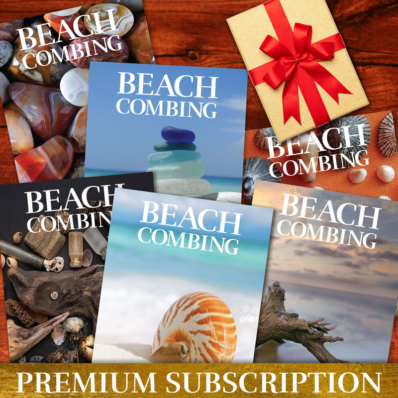 Beachcombing Premium Subscription