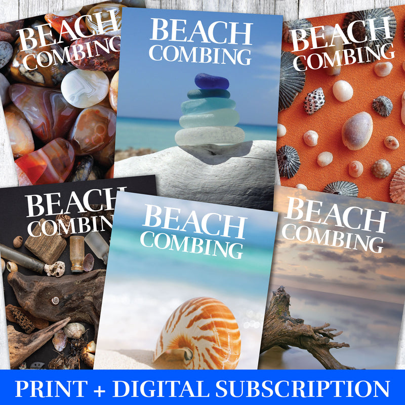 Beachcombing Print+Digital Subscription