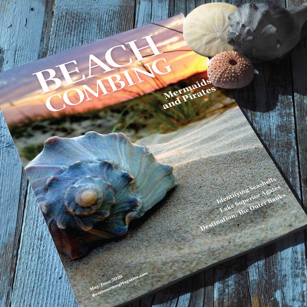 Beachcombing Volume 18: May/June 2020