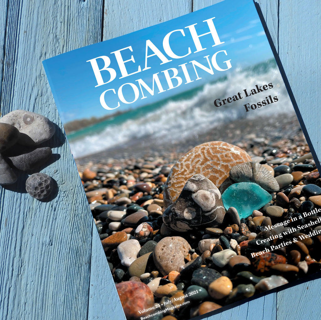 I'd Rather Be Beachcombing Reusable Water Bottle – Beachcombing Magazine