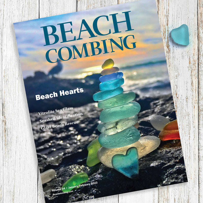 Beachcombing Volume 34: January/February 2023