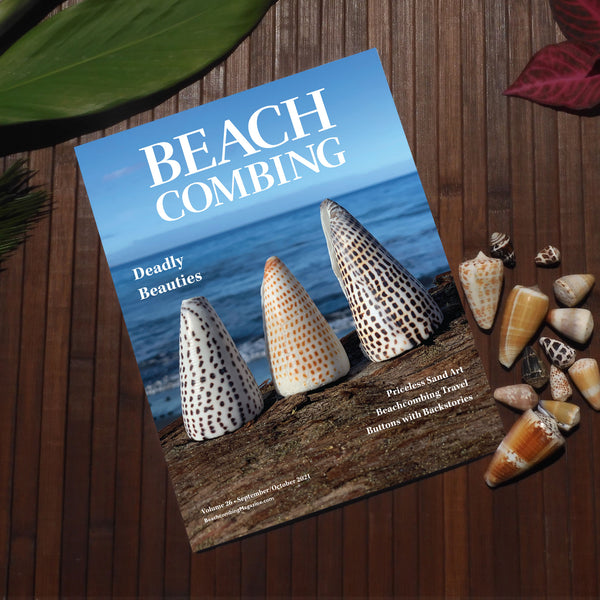 Beachcombing Volume 26: September/October 2021