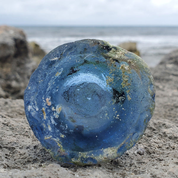 Beachcombing Volume 26: September/October 2021