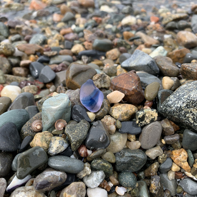 Beachcombing Volume 19: July/August 2020