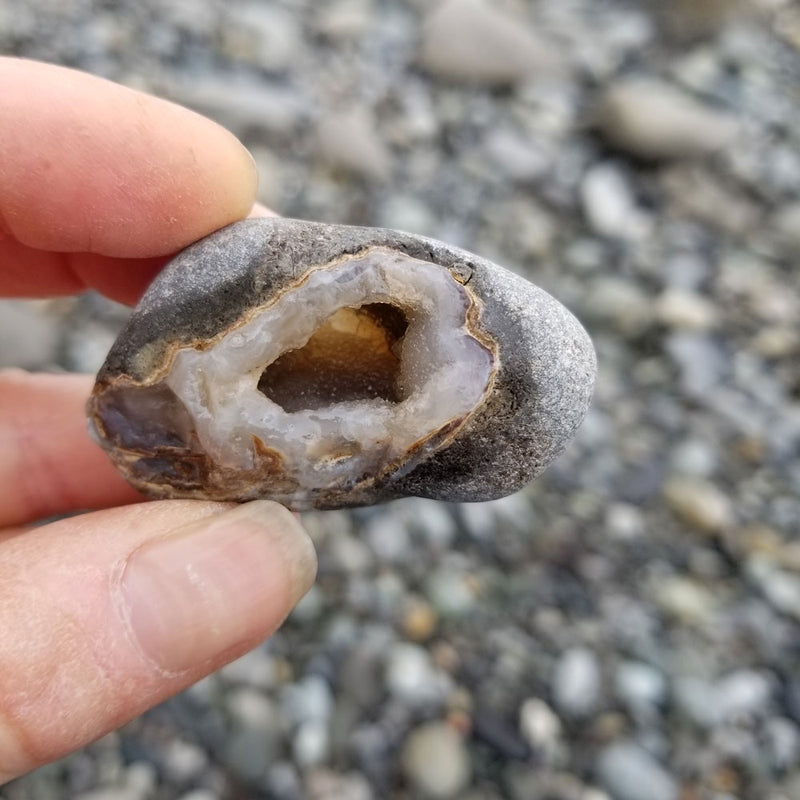 Beachcombing Volume 19: July/August 2020