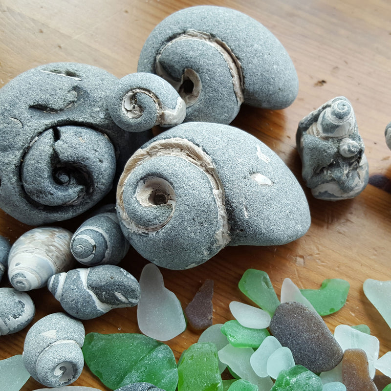 Beachcombing Volume 30: May/June 2022
