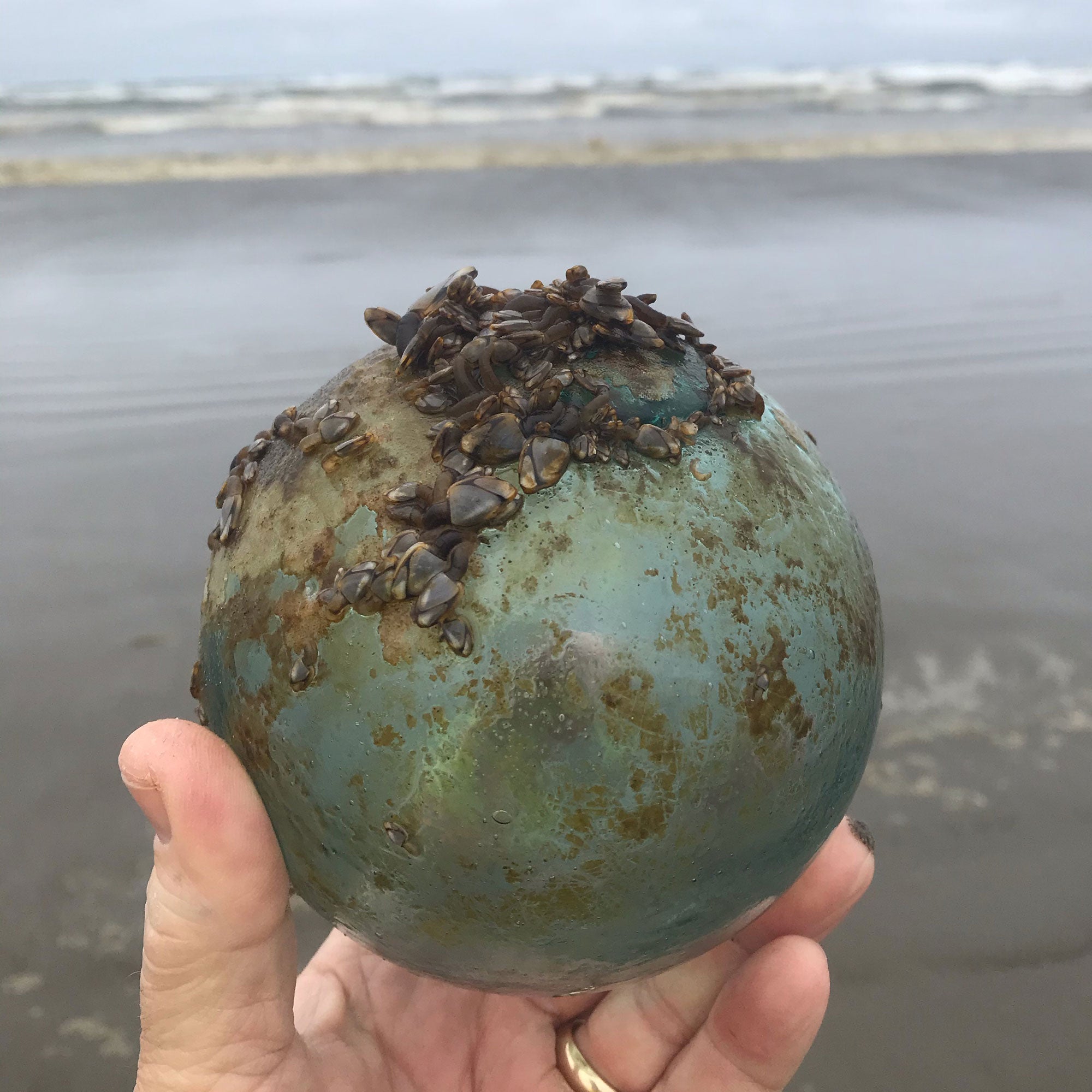 Beachcombing Volume 26: September/October 2021 – Beachcombing Magazine