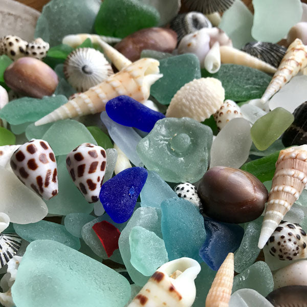 Beachcombing Volume 14: September/October 2019