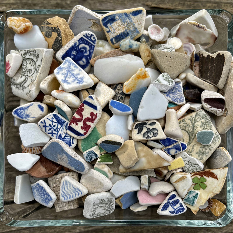 Beachcombing Volume 35: March/April 2023