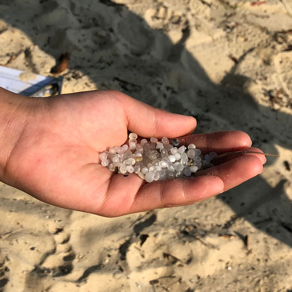 Beachcombing Volume 13: July/August 2019