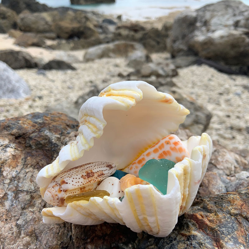 Beachcombing Volume 20: September/October 2020