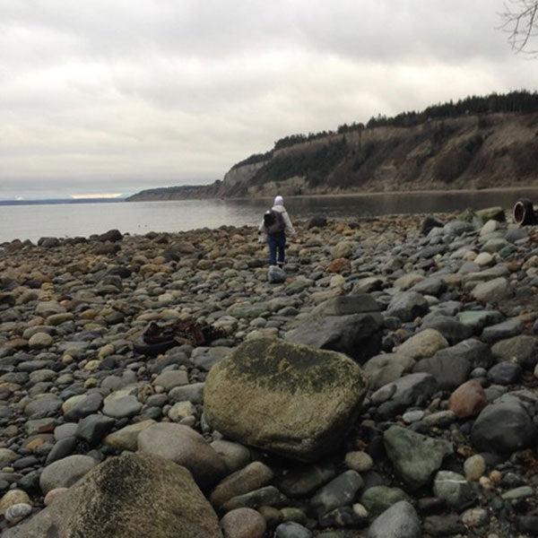 Beachcombing Volume 12: May/June 2019