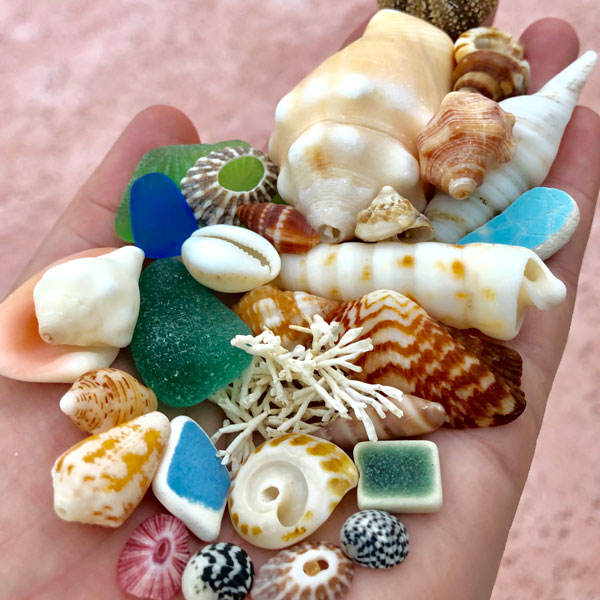 Beachcombing Volume 13: July/August 2019