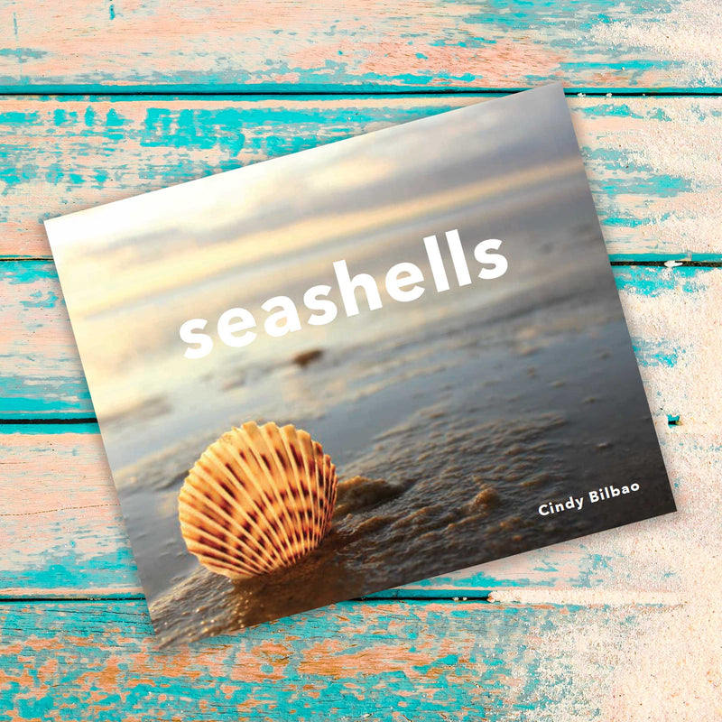 Seashells Book — Cindy Bilbao