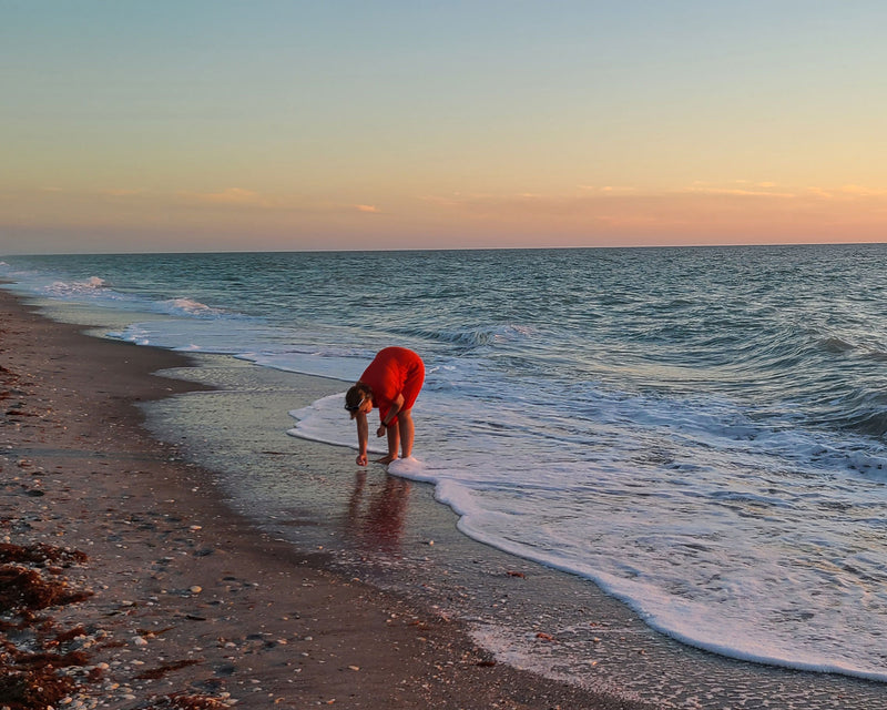 Beachcombing Volume 32: September/October 2022