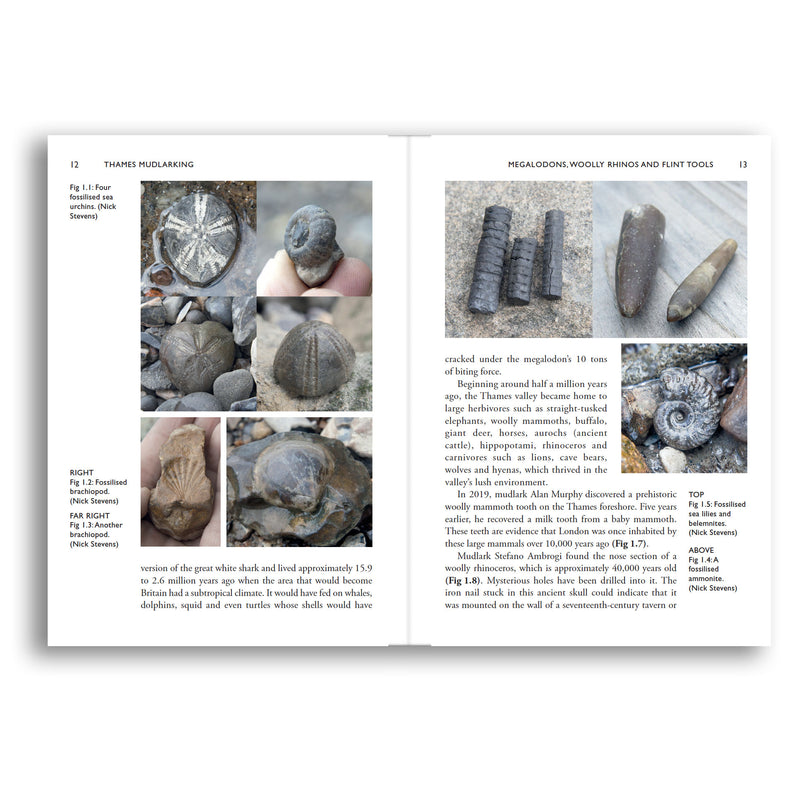 Thames Mudlarking: Searching for London's Lost Treasures Book