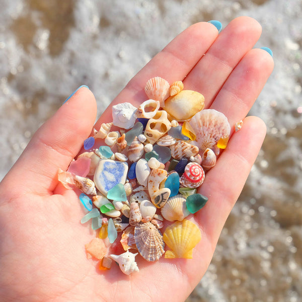 Beachcombing Volume 20: September/October 2020