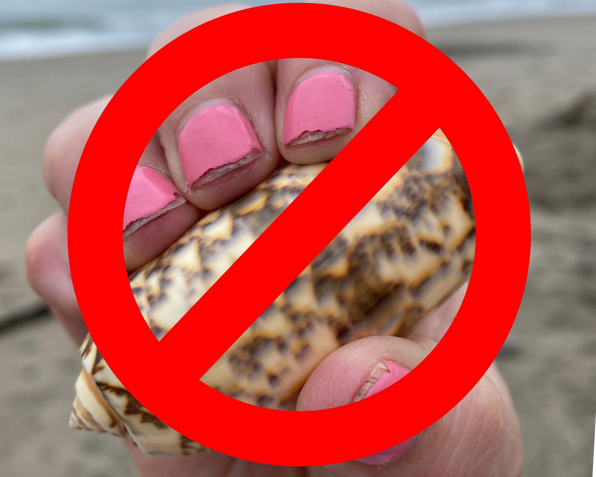 Beach Comb Hand-Held Beachcombing Rake – Beachcombing Magazine