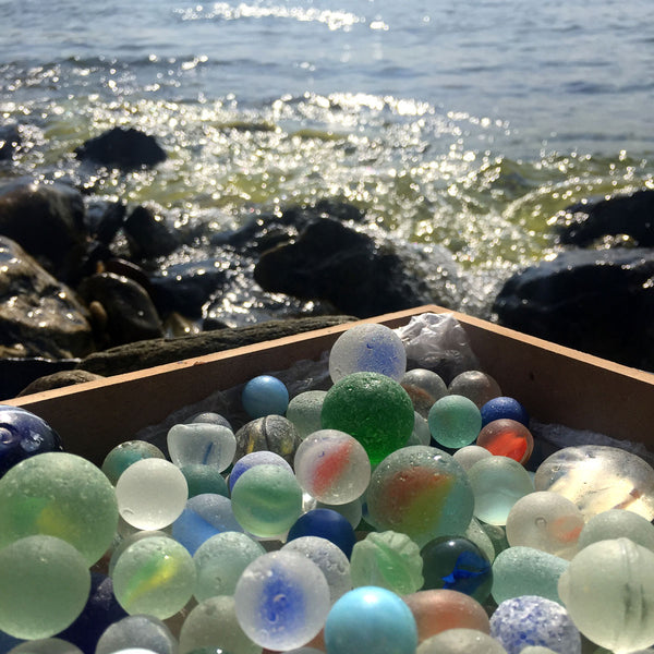 Beachcombing Volume 16: January/February 2020